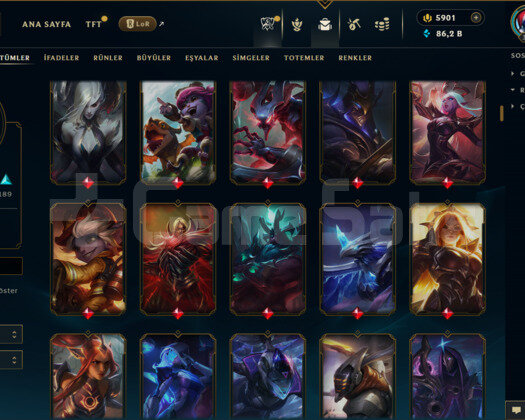EUW / 368 LEVEL / 440 SKİN / FUL HERO +5.9K RPLİ