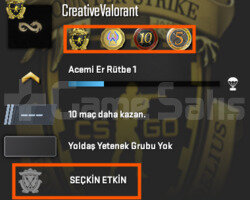 SEÇKİN ETKİN / 4 MADALYALI / FACEİT-ESEA HAZIR