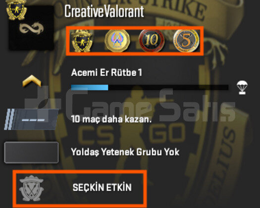 SEÇKİN ETKİN / 4 MADALYALI / FACEİT-ESEA HAZIR