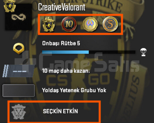 SEÇKİN ETKİN / 4 MADALYALI / FACEİT-ESEA HAZIR