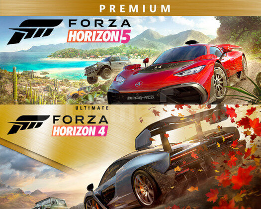 Online | Forza 4-5 Premium + Garanti