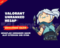 TR 20 LVL UNRANKED HESAP