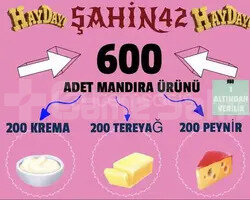 600 ADET MANDIRA ÜRÜNLERİ