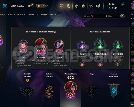 534 LEVEL/ ZÜMRÜT 2/ 113 SKİN YÜKSEK MMR