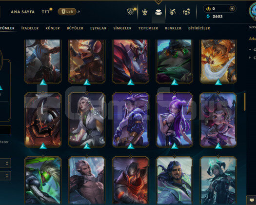 303 LEVEL / 92 SKİN /168 HERO + TEL ONAYSIZ + MAİL