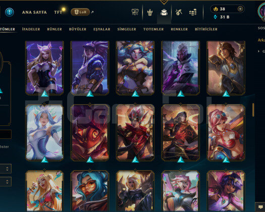 376 LEVEL / 130 SKİN / 164 HERO +TEL ONAYSIZ +MAİL