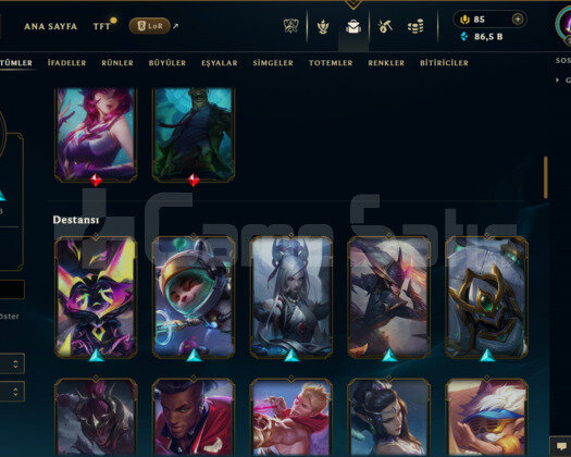 TR / 281 LEVEL / 85 SKİN / 92 HERO +TEL ONAYSIZ