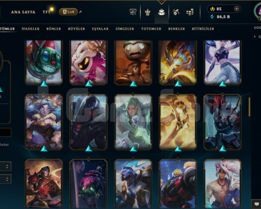 TR / 281 LEVEL / 85 SKİN / 92 HERO +TEL ONAYSIZ
