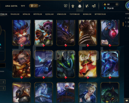 TR / 652 LEVEL /647 SKİN /FUL HERO +KARA ALİSTAR