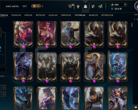 EUNE / 849 LEVEL / 888 SKİN / FUL HERO +MAİL