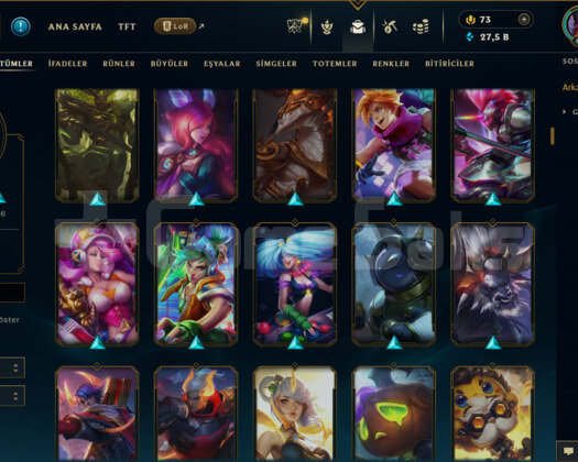 EUW / 468 LEVEL / 319 SKİN /168 HERO+TEL ONAYSIZ