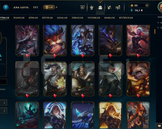 TR / 418 LEVEL / 789 SKİN / FUL HERO +MAİL