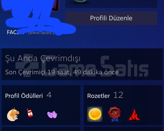 FACEIT 10 LVL 2240 ELO MAINLIK HESAP