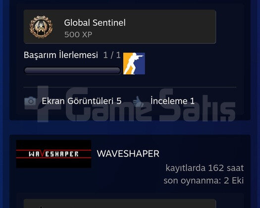 FACEIT 10 LVL 2240 ELO MAINLIK HESAP