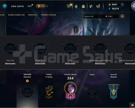 TR / 260 Skin / 2504 RP / Mailli Fırsat Hessbı