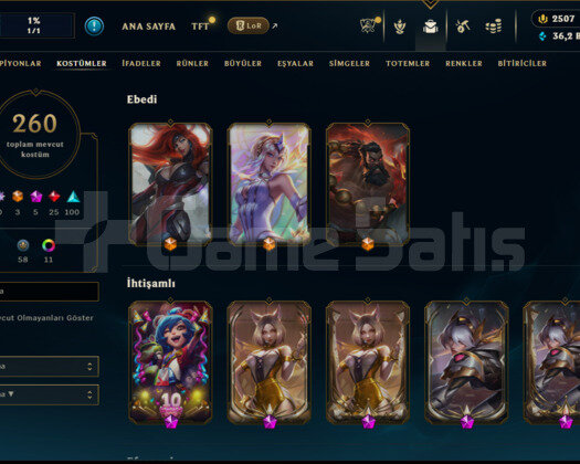 TR / 260 Skin / 2504 RP / Mailli Fırsat Hessbı