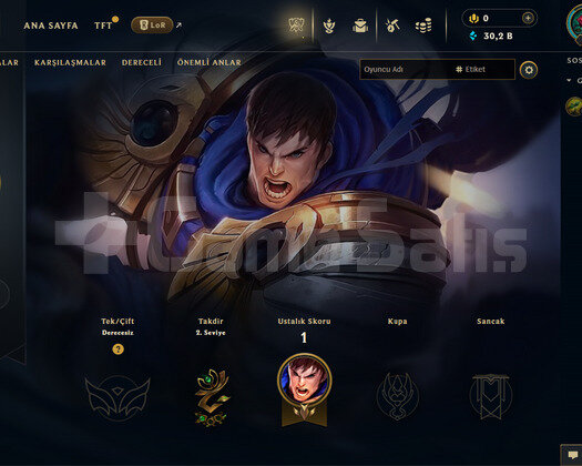 EUW Unranked | 1 Kostüm - 23 Hero | LoL Hesap