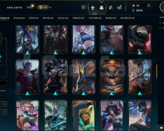 TR /199 LEVEL /80 SKİN /103 HERO +MAİL+TEL ONAYSIZ