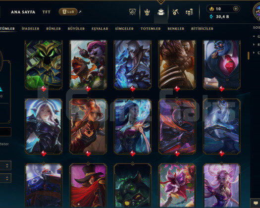 TR /245 LEVEL /255 SKİN /FUL HERO+MAİL+TEL ONAYSIZ