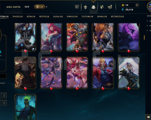 TR /245 LEVEL /255 SKİN /FUL HERO+MAİL+TEL ONAYSIZ