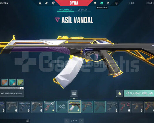 YAĞMACI SET - GAİA VANDAL FULL SKİNLİ VALORANT