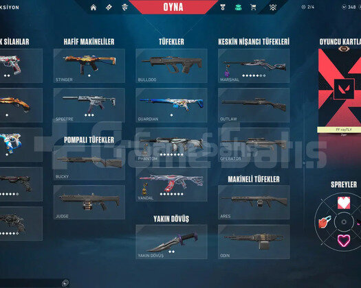 YAĞMACI SET - GAİA VANDAL FULL SKİNLİ VALORANT
