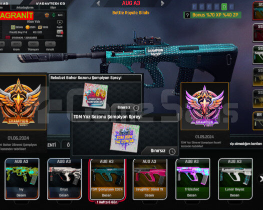 P8 META SINIRSIZLI HESAP