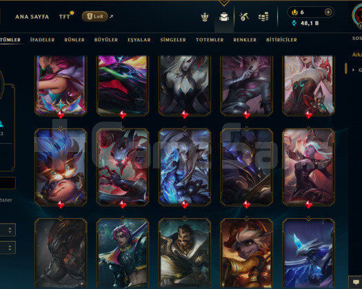 TR / 1287 LEVEL / 608 SKİN / FUL HERO +MAİL