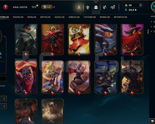 EUW / 246 LEVEL / 331 SKİN / FUL HERO +MAİL+59K ÖZ