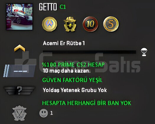CS2 Prime | 4 Madalya | Yeşil Faktör + Garanti