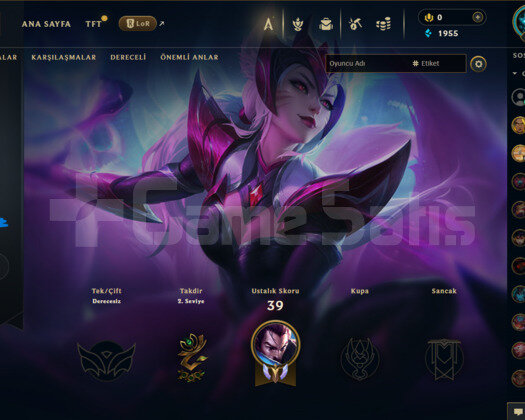 20 lvl 20 hero 2 skin eski hesap 2021