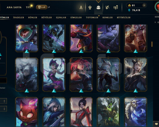 EUW / 308 LEVEL / 200 SKİN / FUL HERO +MAİL