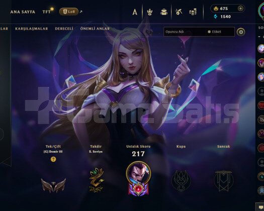 TR 139 LVL HANDMADE 31 SKİNLİ 675 RP MAİLLİ HESAP!