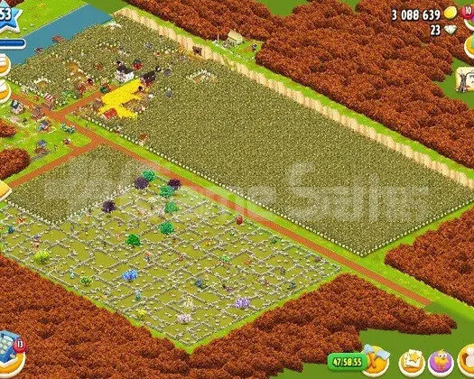 3000+ KAKAO AĞAÇİ SULAMASI HAZIR AÇILMIŞ