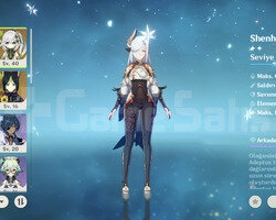 Ar 50 9x5 shenhe nahida+bis lyney cassa