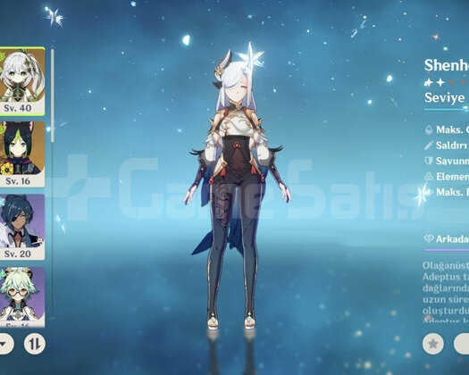 Ar 50 9x5 shenhe nahida+bis lyney cassa