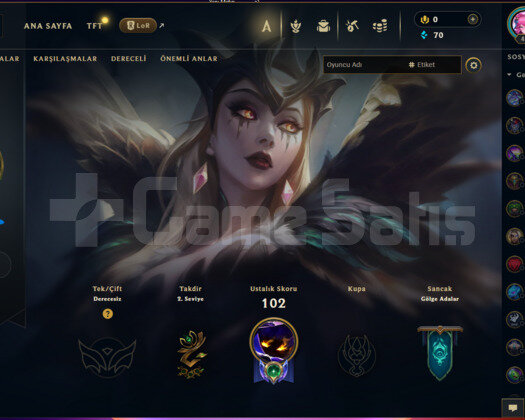48 lvl 34 hero 6 Kostüm Eski hesap 2019