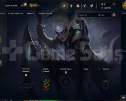 30 lvl 38,9 K Mavi Öz Hesap Elle Kasılmıştır