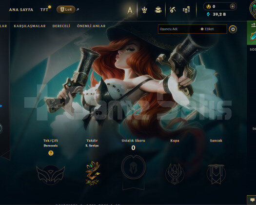 30 lvl 39 K Mavi Öz Mail Değişen ANINDA TESLİMAT