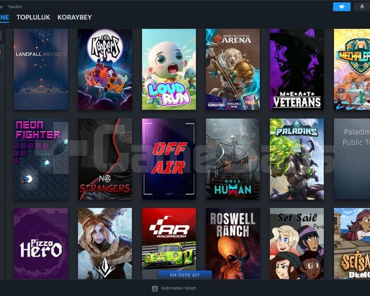 STEAM HESAP SATIŞI ACİLL