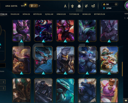 TR / 179 LEVEL / 50 SKİN / 116 HERO +MAİL