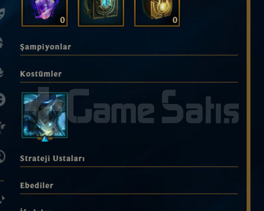DEMİR 1 / 31 LEVEL / TR HESAP