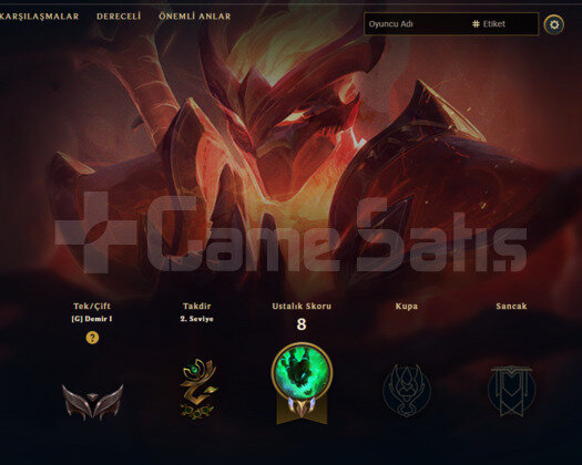 DEMİR 1 / 31 LEVEL / TR HESAP