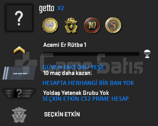 CS2 Prime | 4 Madalya | Yeşil Faktör + Garanti