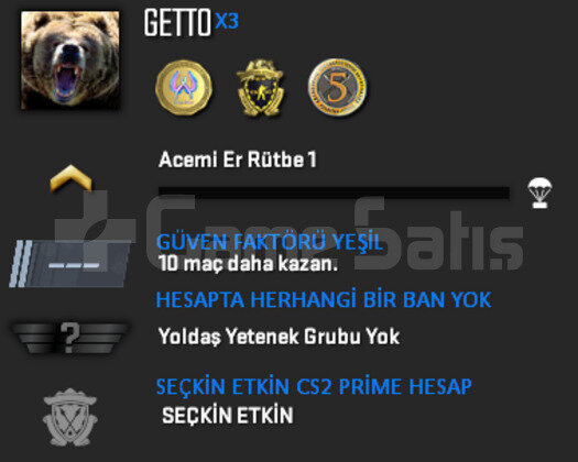 CS2 Prime | 3 Madalya | Yeşil Faktör + Garanti