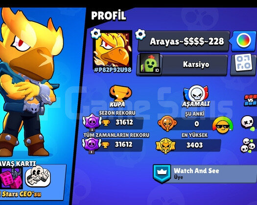 32000 KUPA 265 ELMASLI HESAP