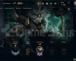 TR Gümüş 3 | 1 Kostüm - 37 Hero | LoL