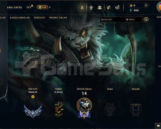 TR Gümüş 3 | 1 Kostüm - 37 Hero | LoL