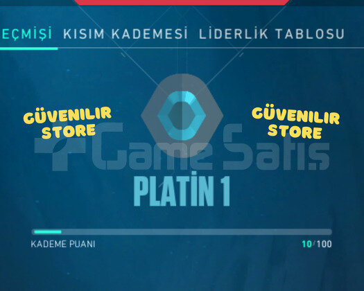 TR PLAT 1 HESAP