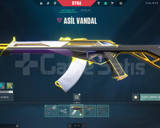3 VANDALLI YELPAZELİ MAİNLİK ACC!